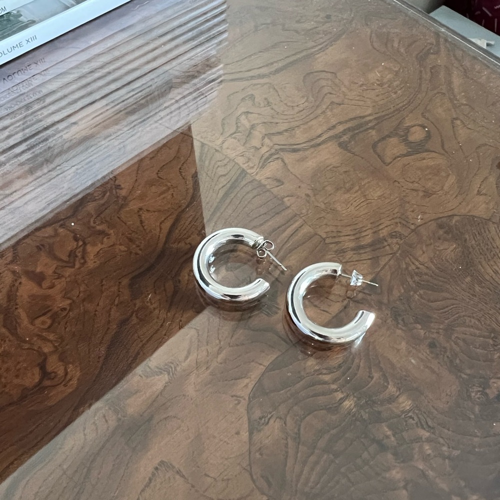 Silver Earrings